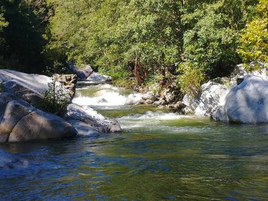 Haus zum Kauf 585.000 € 307 m² 146.096 m² Grundstück Saint-Laurent-de-Cerdans 66260