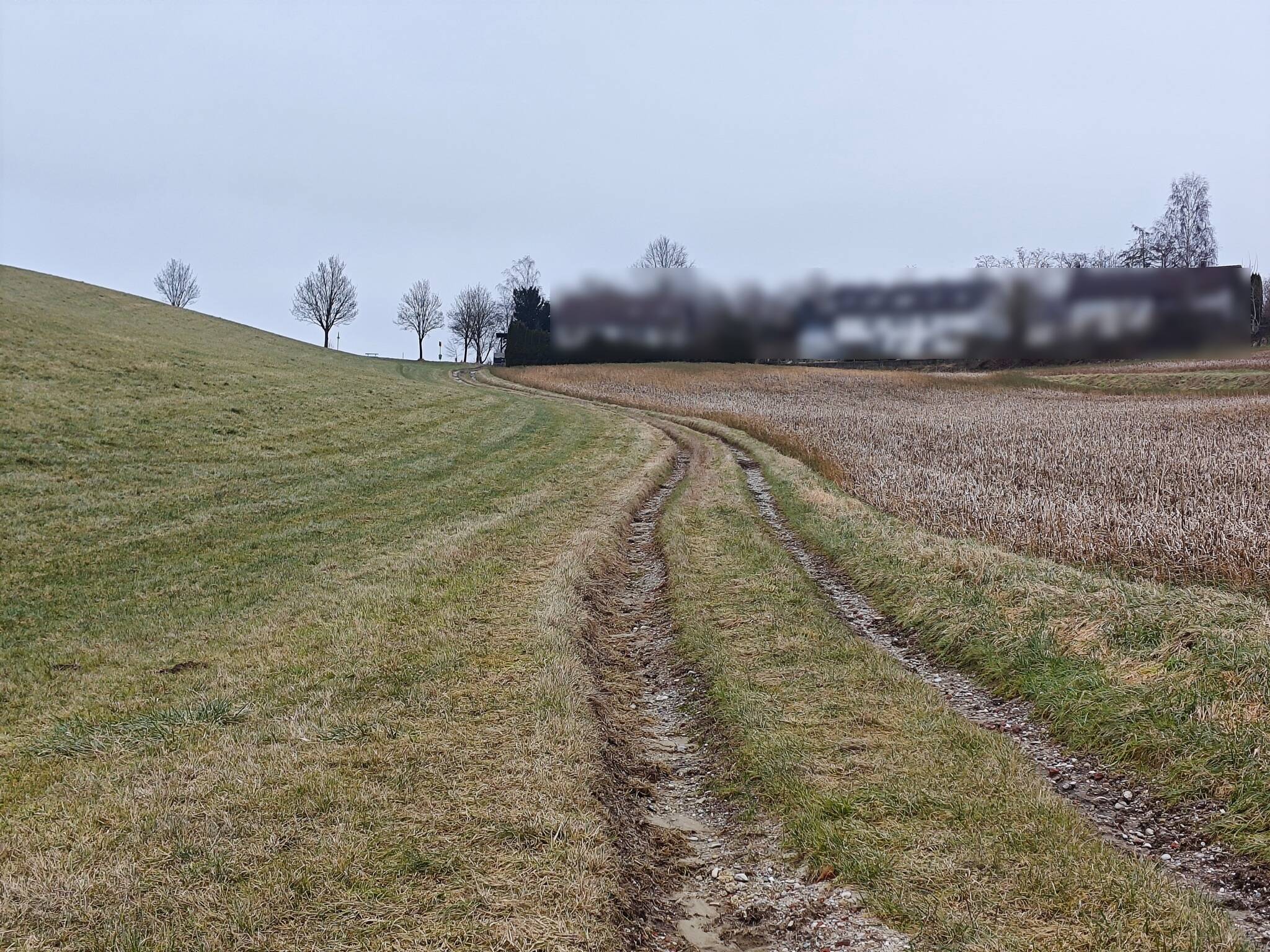 Land-/Forstwirtschaft zum Kauf - Ansicht 2