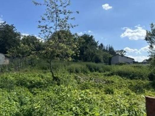 Sonstiges zum Kauf 77.000 € 1.553 m² Grundstück IPPLING 57980