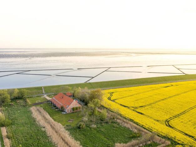 Wohnung zum Kauf provisionsfrei 449.000 € 3 Zimmer 75 m² EG Westerburer Polder 6 Westerbur Dornum 26553