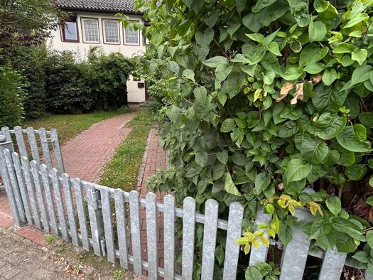 Einfamilienhaus zur Miete 1.900 € 5 Zimmer 118 m² 330 m² Grundstück frei ab 01.09.2026 Henstedt-Ulzburg 24558
