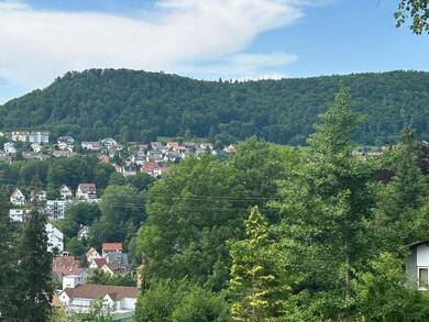 Grundstück zum Kauf provisionsfrei 205.000 € 745 m² Grundstück Albstadt 72458