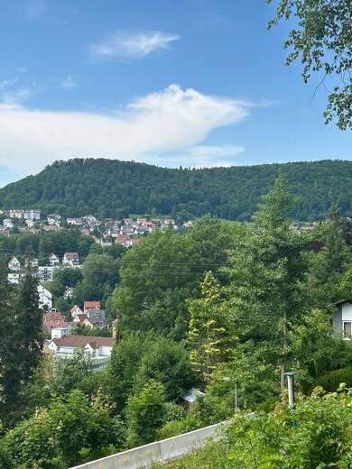 Grundstück zum Kauf provisionsfrei 205.000 € 745 m² Grundstück Ebingen Albstadt 72458