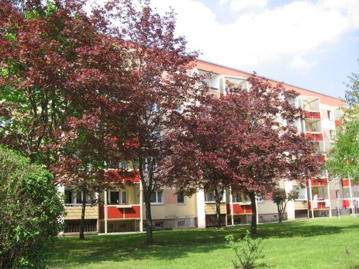 Wohnung zur Miete 270 € 2 Zimmer 55 m² EG frei ab sofort Schulstraße 6 Borna 04552