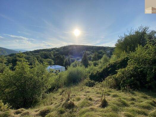 Grundstück zum Kauf 999.000 € 3.450 m² Grundstück Gießhübl 2372