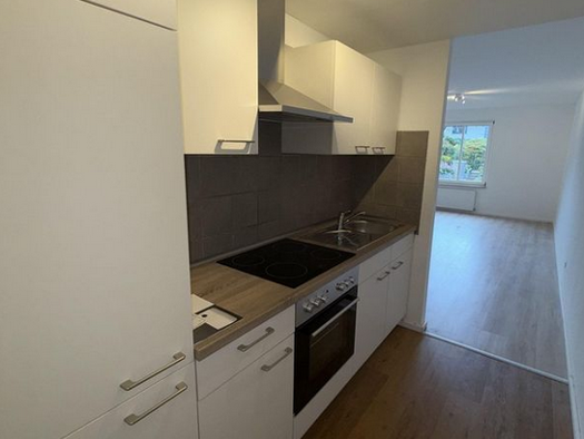 Wohnung zur Miete 465 € 1 Zimmer 45 m² Geschoss 1/4 frei ab sofort Am Fahrweg 3 Lengsdorf Bonn 53123