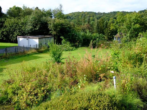 Einfamilienhaus zum Kauf 410.500 € 5 Zimmer 143 m² 749 m² Grundstück Auf dem Kliewe Hemer Hemer 58675