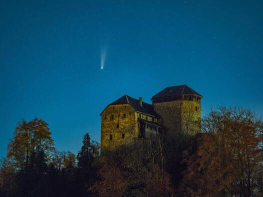 Schloss zum Kauf 1.219 m² Grundstück Hohenems 6845