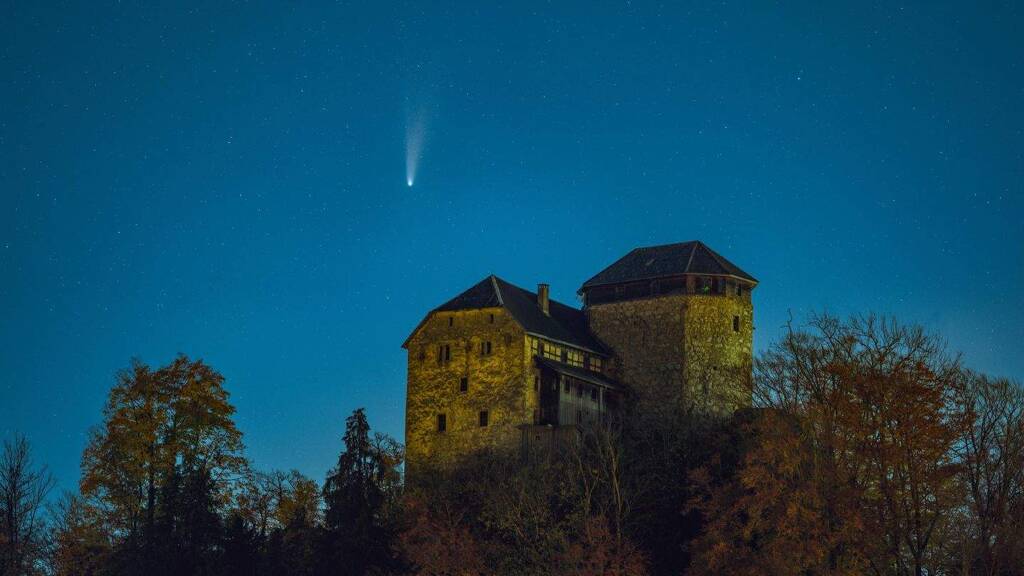 Schloss zum Kauf 1.219 m² Grundstück Hohenems 6845