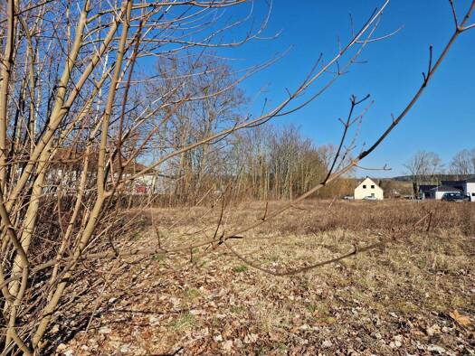 Grundstück zum Kauf provisionsfrei 62.510 € 665 m² Grundstück Neustadt Neustadt an der Orla 07806