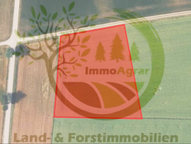 Grundstück zum Kauf 118.000 € 7.881 m² Grundstück Höfarten Schiltberg 86576