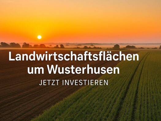 Land-/Forstwirtschaft zum Kauf provisionsfrei 155.000 € 70.730 m² Grundstück Brünzow Brünzow / Stevelin 17509