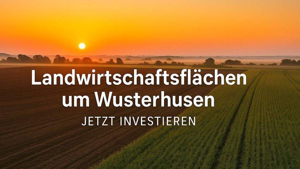 Land-/Forstwirtschaft zum Kauf provisionsfrei 155.000 € 70.730 m² Grundstück Wusterhusen Wusterhusen / Stevelin 17509