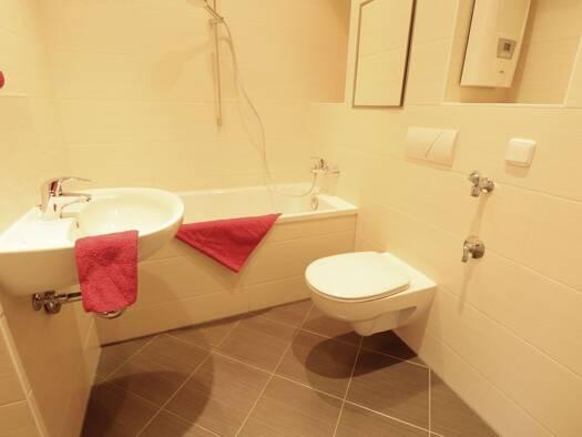 Wohnung zur Miete 270 € 2 Zimmer 49 m² EG Irkutsker Straße 31 Kappel Chemnitz 09119