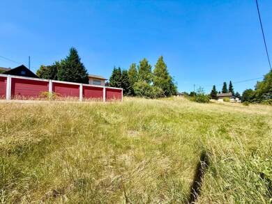 Grundstück zum Kauf 45.000 € 1.239 m² Grundstück Steinbach Steinbach am Wald 96361