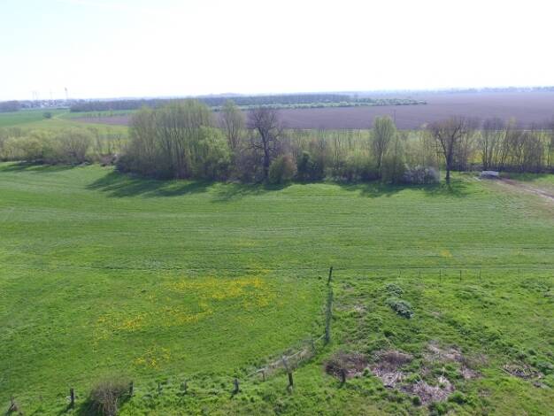 Grundstück zum Kauf 109.820 € 578 m² Grundstück Lobergasse Brodau 04509