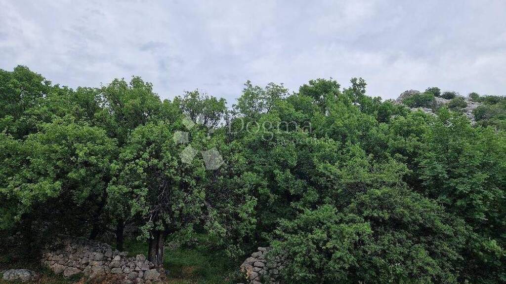 Land-/Forstwirtschaft zum Kauf 500.000 € Karlobag