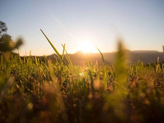 Grundstück zum Kauf 165.010 € 330 m² Grundstück Grafenwald Bottrop 46244