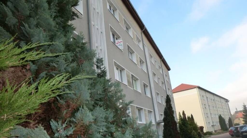 Studio zur Miete 220 € 1 Zimmer 35 m² frei ab sofort Mücheln Mücheln (Geiseltal) 06249