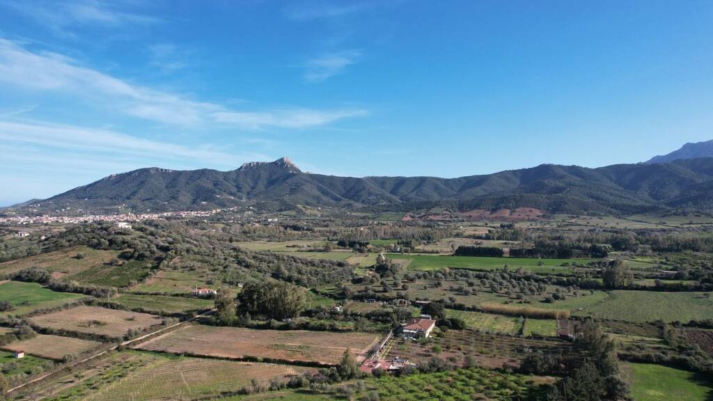 Villa zum Kauf - Erstbezug 590.000 € 5,5 Zimmer 160 m² 3.800 m² Grundstück Torpè 08020