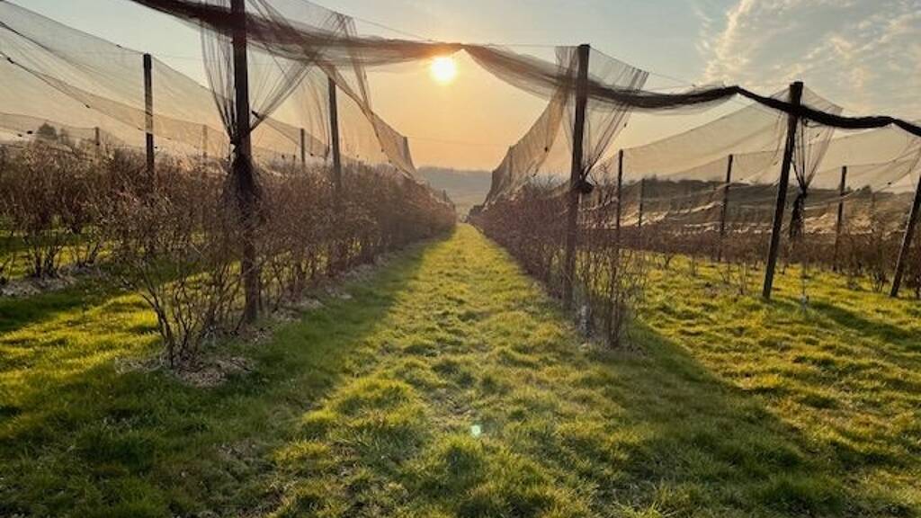 Land-/Forstwirtschaft zum Kauf 1.100.000 € 150.000 m² Zagreb