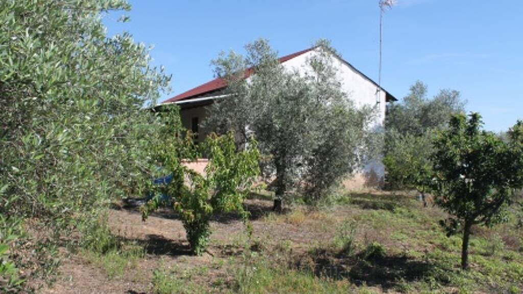 Bauernhaus zum Kauf provisionsfrei 96.000 € 4 Zimmer 100 m² 3.900 m² Grundstück Rociana del Condado 21720