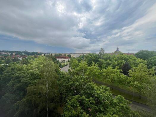 Studio zur Miete 199 € 1 Zimmer 35 m² 6. Geschoss frei ab sofort Neuplanitzer Straße 33 Neuplanitz Zwickau 08062