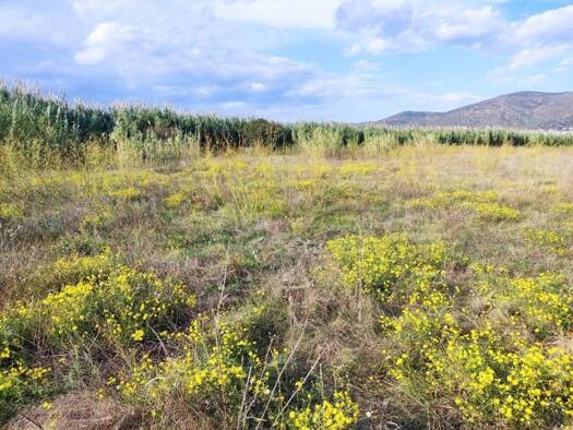Acker-/Waldstück zum Kauf 29.000 € Torroella de Fluvià 17474
