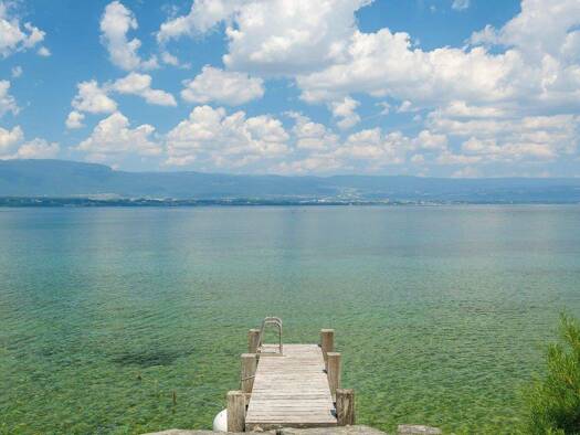 Haus zum Kauf 25.000.000 € 1.361 m² 4.197 m² Grundstück Chens-sur-Léman 74140