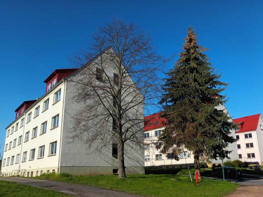 Wohnung zur Miete 402 € 4 Zimmer 67 m² 2. Geschoss Ostrau 04749