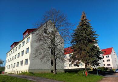 Wohnung zur Miete 402 € 4 Zimmer 67 m² 2. Geschoss Ostrau Ostrau 04749