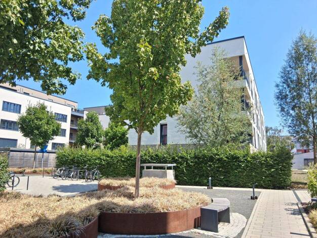 Wohnung zum Kauf 342.500 € 2 Zimmer 53 m² 1. Geschoss frei ab sofort Kreulstraße Gärten h d Veste Nürnberg 90408