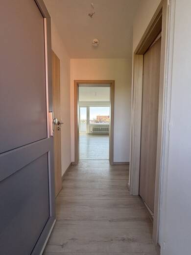 Wohnung zur Miete 242 € 1 Zimmer 31,4 m² 3. Geschoss Wilhelm-Brandes-Straße 2A Weiße Schanze Wolfenbüttel 38304