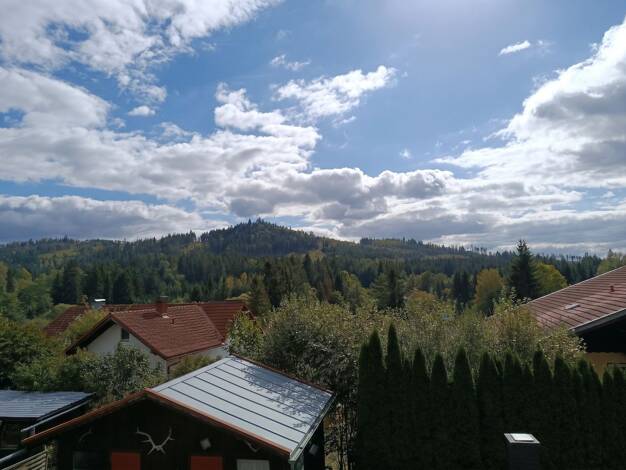 Loft zum Kauf 139.000 € 1 Zimmer 81 m² Ludwigsthal Lindberg 94227