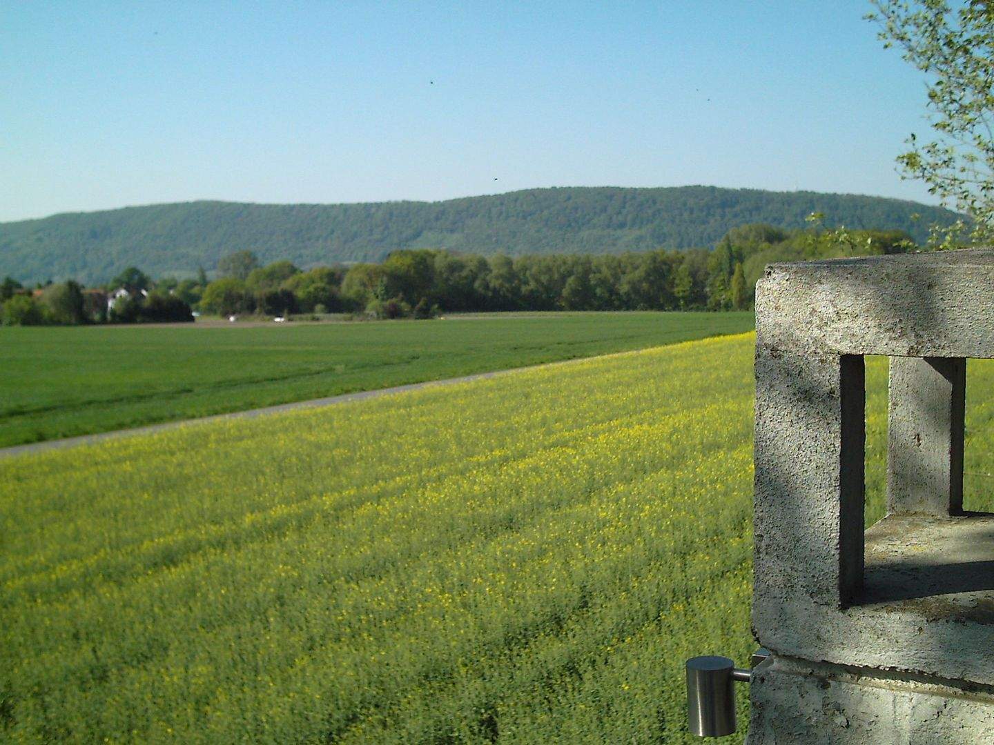 Immobilie in Porta Westfalica - Architektonisches Juwel im Grünen: Großzügiges Atriumhaus mit Innengarten – Ein Traum für Handwerker! - Bild 3