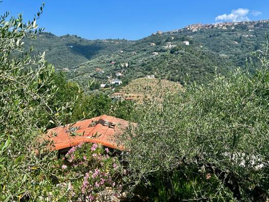 Freizeitgrundstück zum Kauf 50.000 € 4.368 m² Grundstück Curli-Masabò Perinaldo 18032