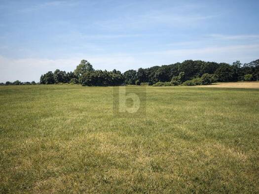 Grundstück zum Kauf 62.000 € 44.096 m² Grundstück Dreschvitz 18573