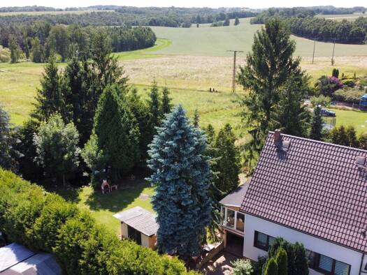 Einfamilienhaus zum Kauf 229.000 € 5 Zimmer 110 m² 714 m² Grundstück Neuschönberg Waldheim 04736