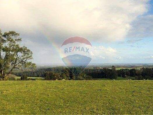 Büro zum Kauf 40.000.000 € Llanquihue