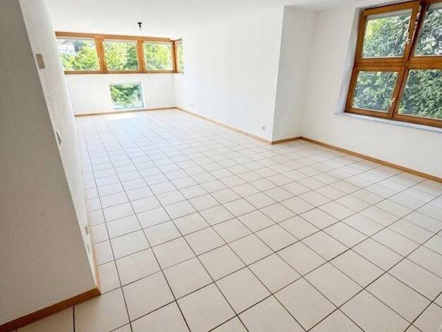 Wohnung zum Kauf provisionsfrei 170.000 € 2 Zimmer 65 m² Oberer Langerain 13 Wilhelmsfeld 69259