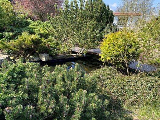 Grundstück zum Kauf 430.000 € 900 m² Grundstück Berliner Chaussee 1 Klosterfelde Wandlitz 16348