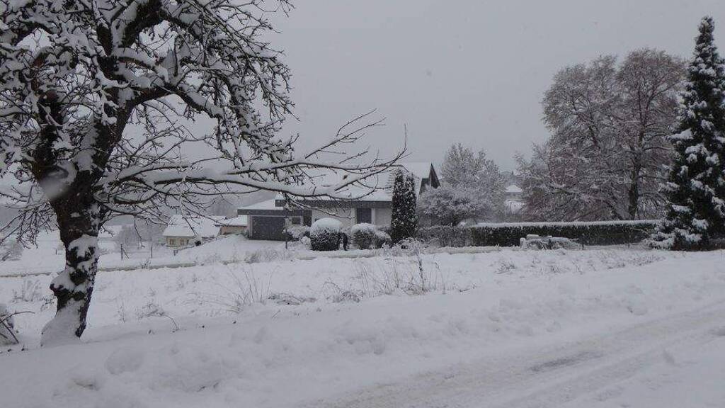 Grundstück zum Kauf 199.000 € 1.200 m² Grundstück Marborn Steinau 36396