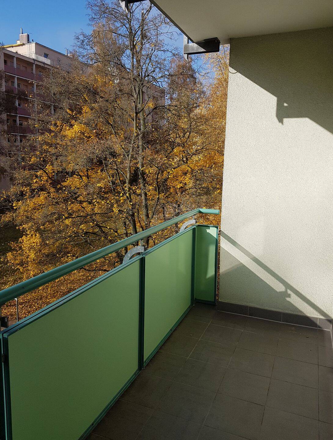 Lichtdurchflutete 2-Zi-Wohnung mit Süd-/Westbalkon in der Nähe des Wöhrder See – Bauvereinstraße 21, 90489 Nürnberg – Vorschaubild 6