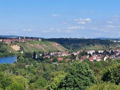 Grundstück zum Kauf 40.000 € 788 m² Grundstück frei ab sofort Stuttgart 70376