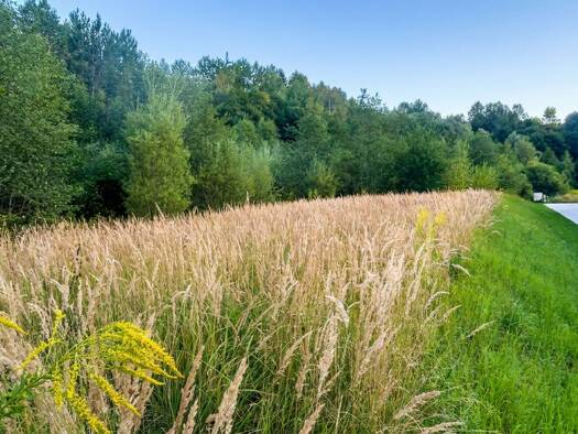Grundstück zum Kauf 550.000 € 4.973 m² Grundstück Mürzzuschlag 8680