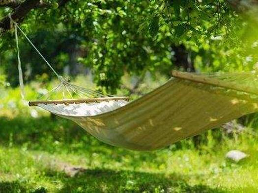 Einfamilienhaus zum Kauf provisionsfrei 283.265 € 4 Zimmer 152 m² 550 m² Grundstück Schönewerda Artern/Unstrut 06556