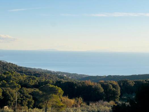 Villa zum Kauf 800.000 € 5 Zimmer 300 m² 25.000 m² Grundstück frei ab sofort Castiglioncello