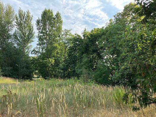 Grundstück zum Kauf 250.000 € 535 m² Grundstück Plötzin Werder OT Phöben 14542