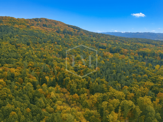 Jagdrevier zum Kauf 1.856.116 m² Grundstück Lauf Lauf an der Pegnitz 91207