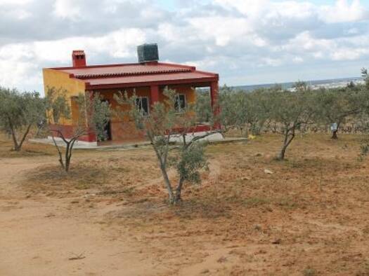 Bauernhaus zum Kauf 75.000 € 1 Zimmer 82 m² 4.000 m² Grundstück Bollullos Par del Condado 21710